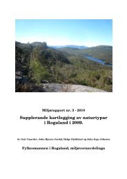 Supplerande kartlegging av naturtypar i Rogaland i 2009.