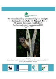 Onderzoek naar de populatieomvang van ... - Trésor Rainforest