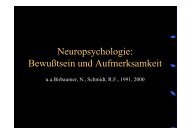 Neuropsychologie: Bewußtsein und Aufmerksamkeit