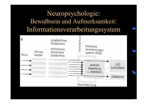 Neuropsychologie: Bewußtsein und Aufmerksamkeit