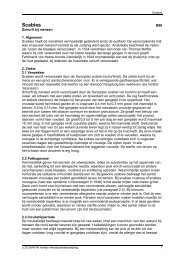 Scabies (Schurft) (pdf) - Soa Aids Nederland voor professionals