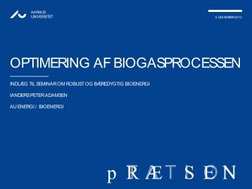 OPTIMERING AF BIOGASPROCESSEN - Biopress