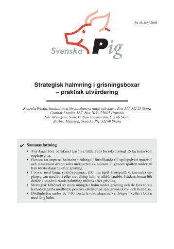 Läs hela rapporten - Svenska Pig