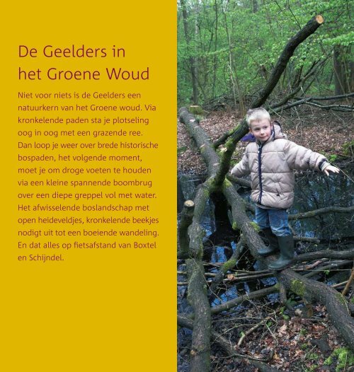 De Geelders in het Groene Woud - Staatsbosbeheer