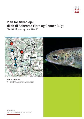 Plan for fiskepleje i tilløb til Aabenraa Fjord og Genner Bugt