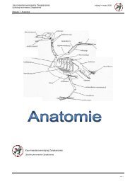 Module 7: Anatomie - Keurmeesters