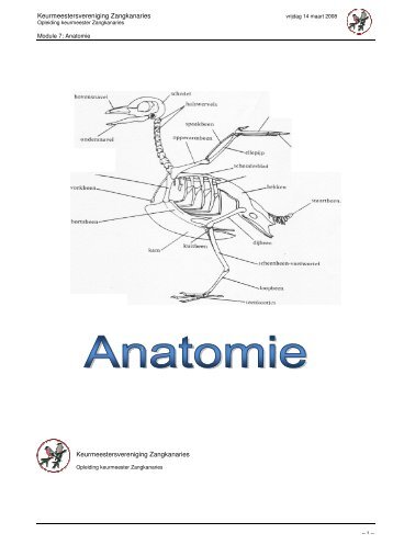 Module 7: Anatomie - Keurmeesters