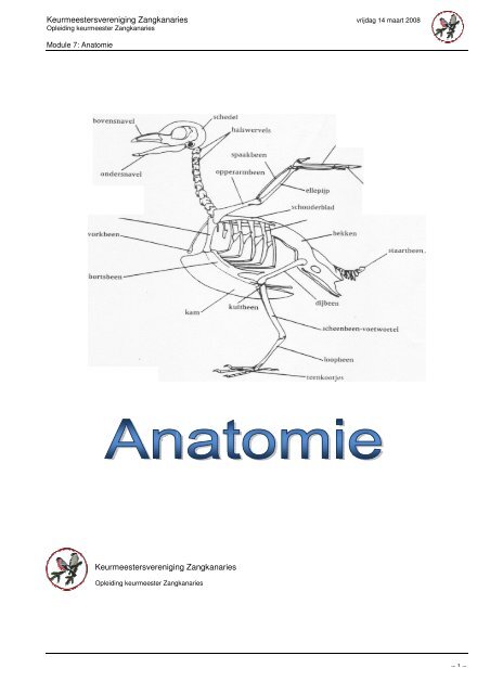 Module 7: Anatomie - Keurmeesters