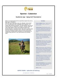 Spanien - Catalonien - Rideferie i hele verden