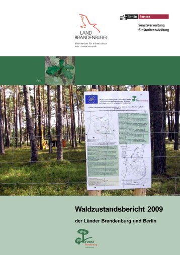 Waldzustandsbericht 2009 - Wald-und-Forst.de