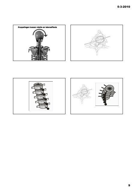 Arthrokinematica van de wervelkolom - DAM Cursus