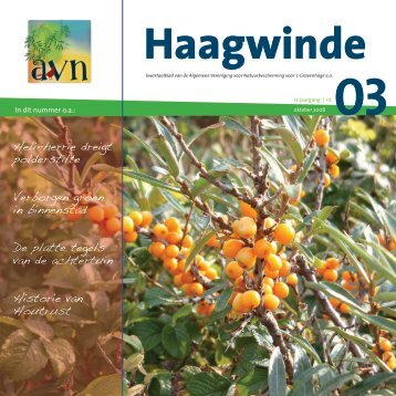 Haagwinde 3 - AVN