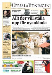 Stenskott? - Mynewsdesk