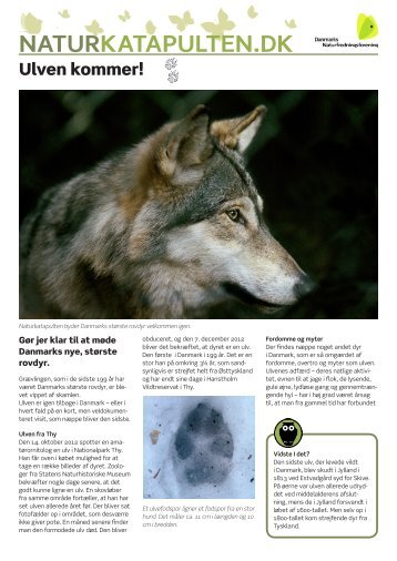 Ulven kommer. En guide til Ulven (PDF).