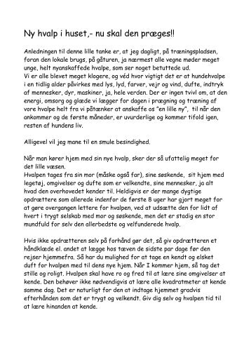 Ny hvalp i huset,- nu skal den præges - Abild Dyreklinik