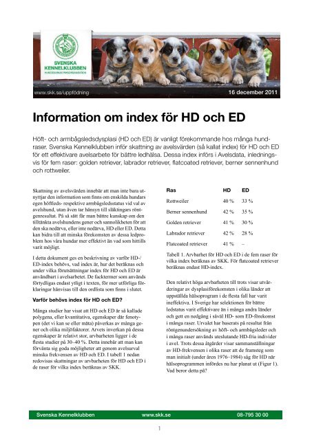 shampoo sadel klient Information om index för HD och ED - Kennel Heavy-Duty