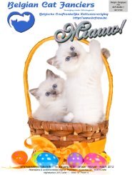 Foto van de maand - Belgian Cat Fanciers =^..^= BCF