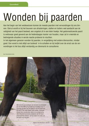 Wonden bij paarden