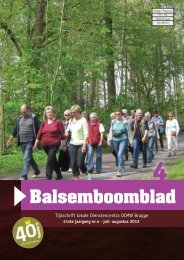 Balsemboomblad - Dienstencentra Brugge