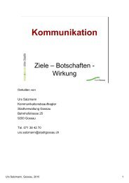 Referat Kommunikation - Botschaften - Ziele - NetzSG