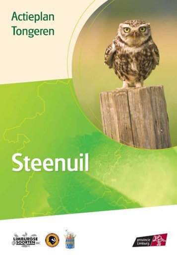 Tongeren - steenuil - Provincie Limburg