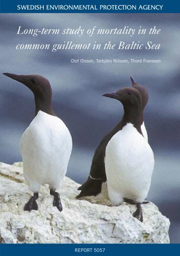 Long-term study of mortality in the common guillemot in the Baltic ...