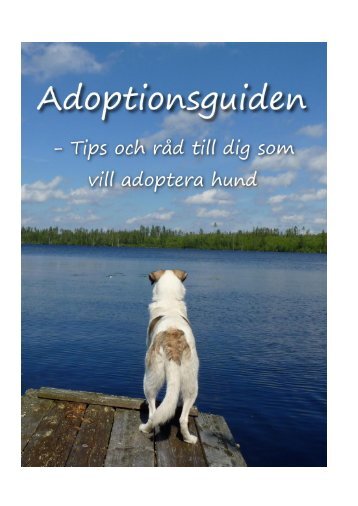 Adoptionsguiden - Dingochamp