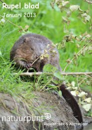 Rupel.blad - Natuur in Aartselaar