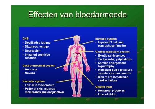 De ziekte van Waldenström - Behandelingsmogelijkheden - CMWP