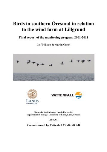 Birds in southern Öresund in relation to the wind farm at ... - Vattenfall