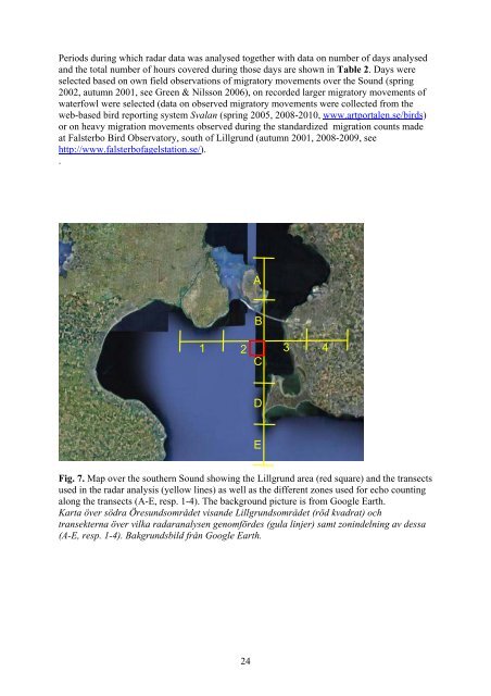 Birds in southern Öresund in relation to the wind farm at ... - Vattenfall