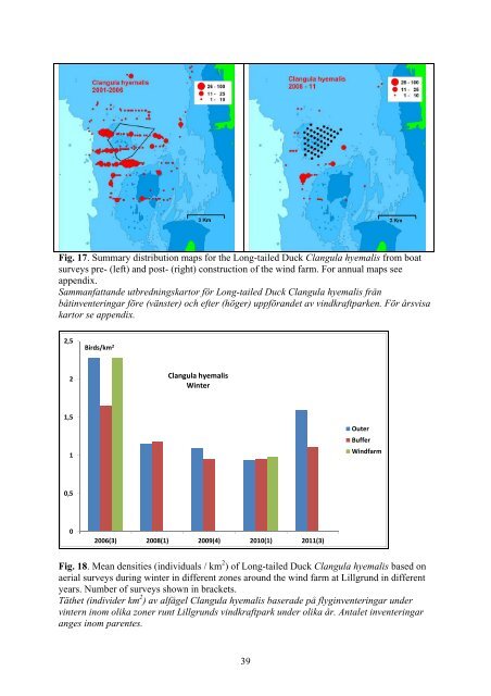 Birds in southern Öresund in relation to the wind farm at ... - Vattenfall