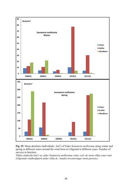 Birds in southern Öresund in relation to the wind farm at ... - Vattenfall