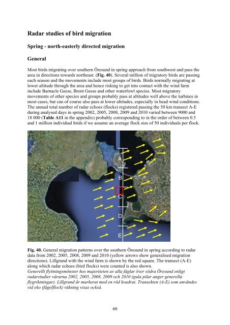 Birds in southern Öresund in relation to the wind farm at ... - Vattenfall