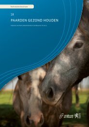 Paarden gezond houden - Landbouw en Visserij - Vlaanderen.be
