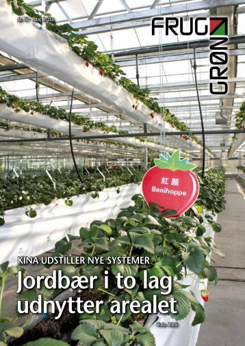 Jordbær i to lag udnytter arealet - Gartneribladene