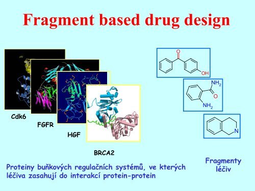 Fragment based drug design