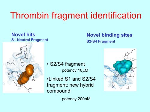 Fragment based drug design