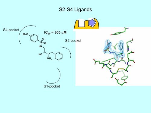 Fragment based drug design