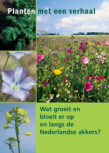 Planten met een verhaal - Akkerbouw.info