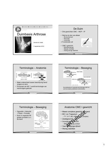 ARTHROSE - Handweb