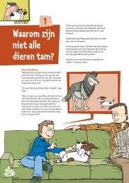 Dieren tam maken - Grasspriet