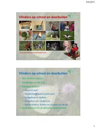 Vlinders op school en daarbuiten - De Natuurkalender