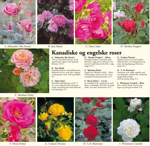 Plantekatalog - Draglands Planteskole