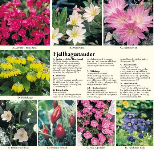 Plantekatalog - Draglands Planteskole