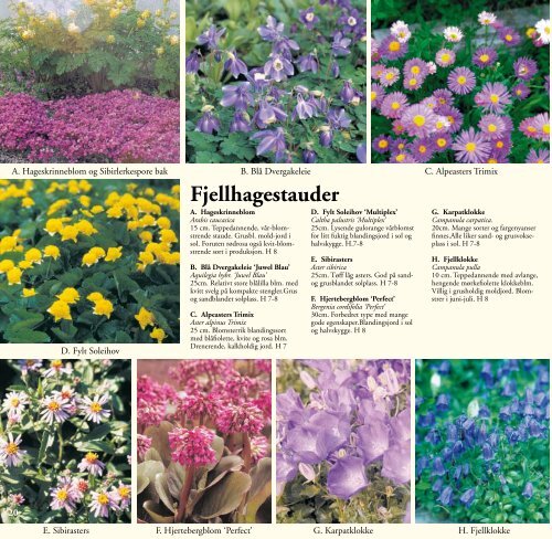 Plantekatalog - Draglands Planteskole