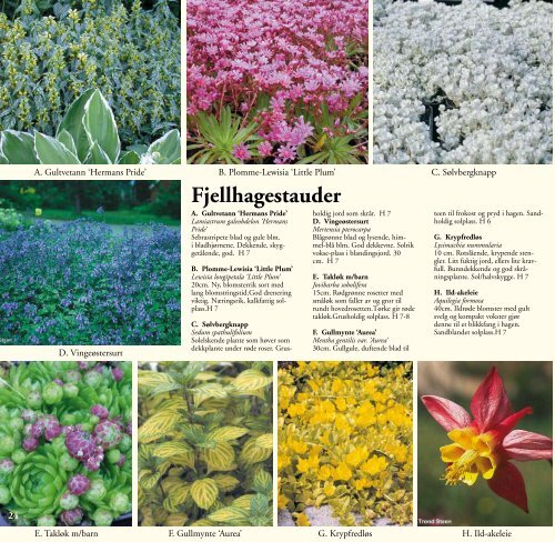 Plantekatalog - Draglands Planteskole