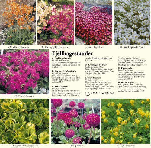 Plantekatalog - Draglands Planteskole