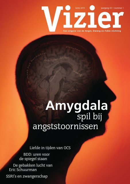 Amygdala - Kaat Olsson