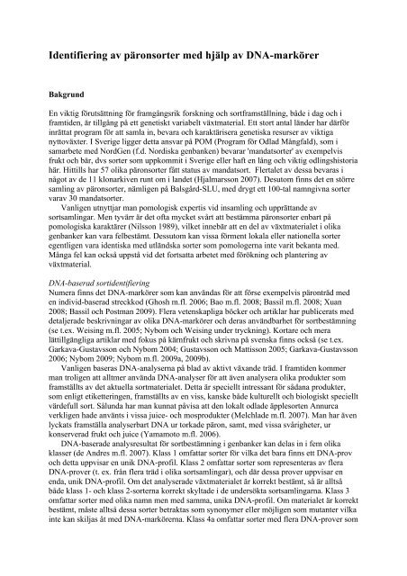 Slutrapport (pdf) - POM